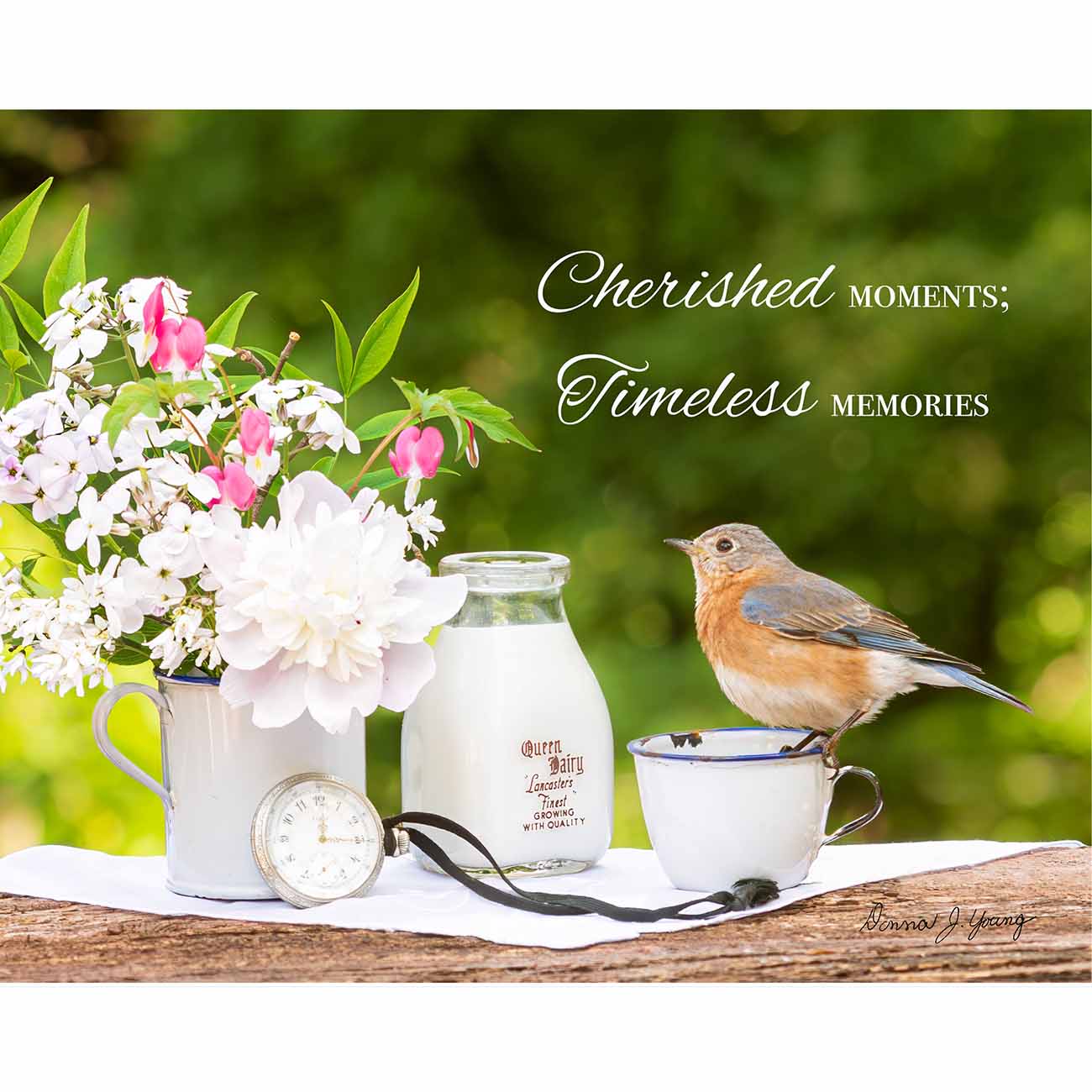 Cherished Moments
