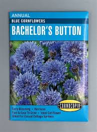 Blue Cornflower Bachelor's Button Seed Pack