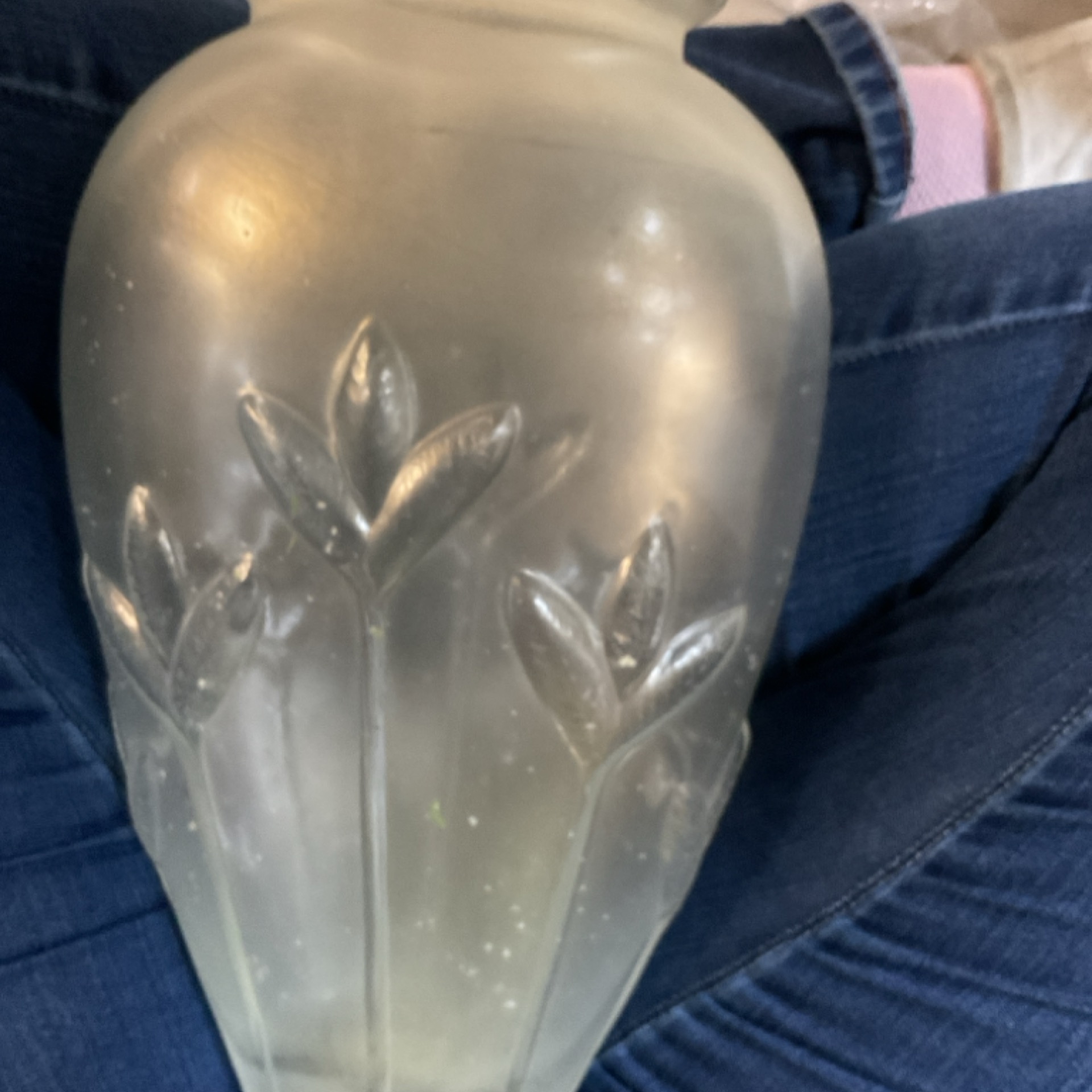Plant Glass Vase