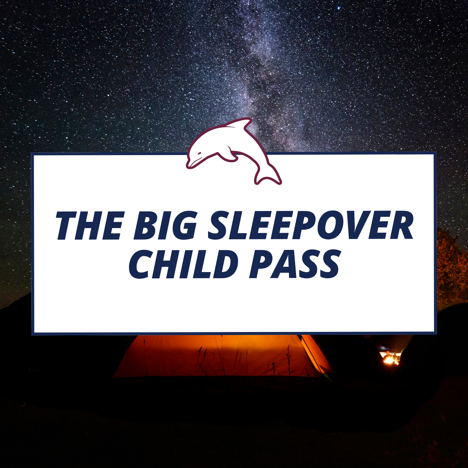 The Big Sleepover - Child Pass