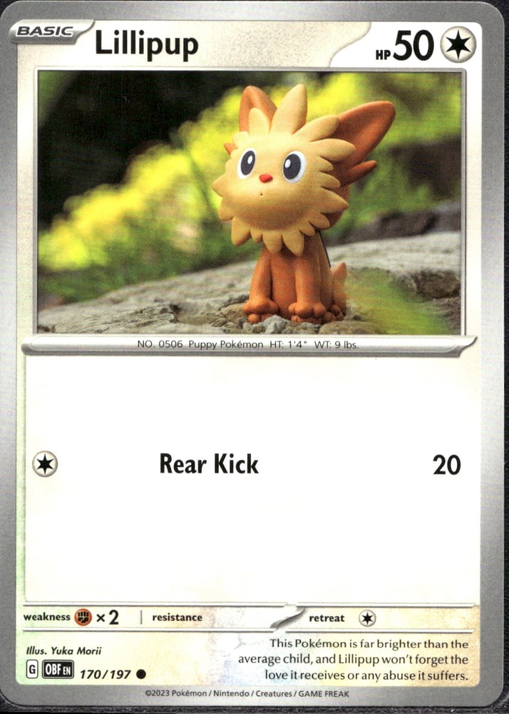 Lillipup - SV03 170/197