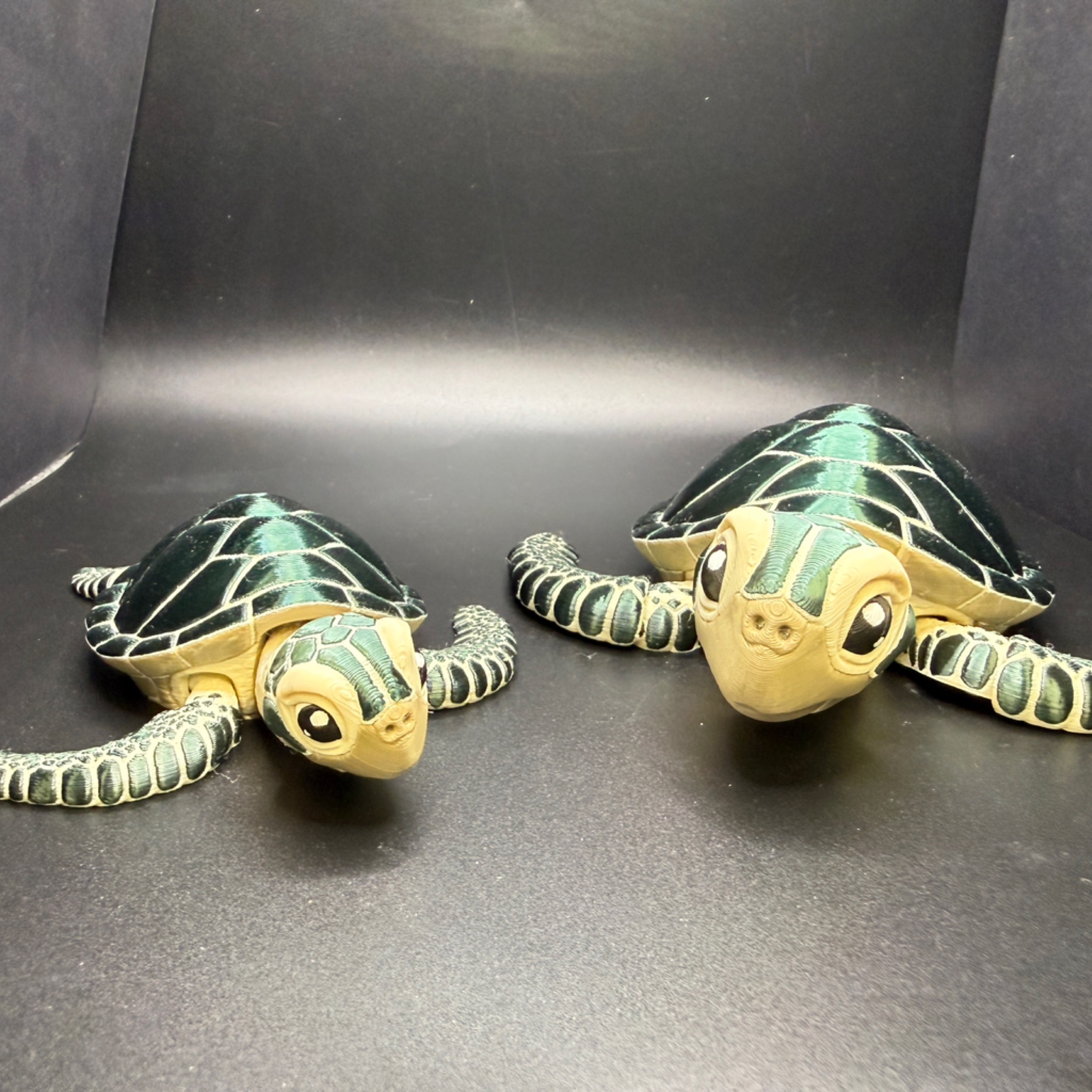 Emerald Sea Turtle