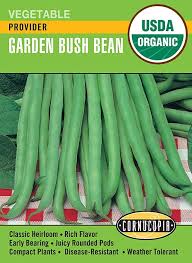 Provider Bush Bean Seed Pack, Organic