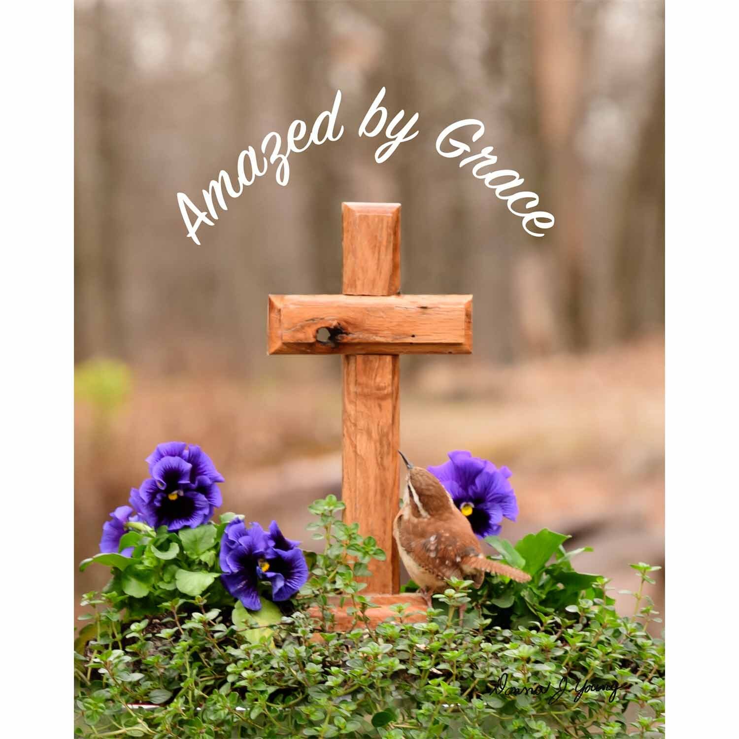 Amazed by Grace