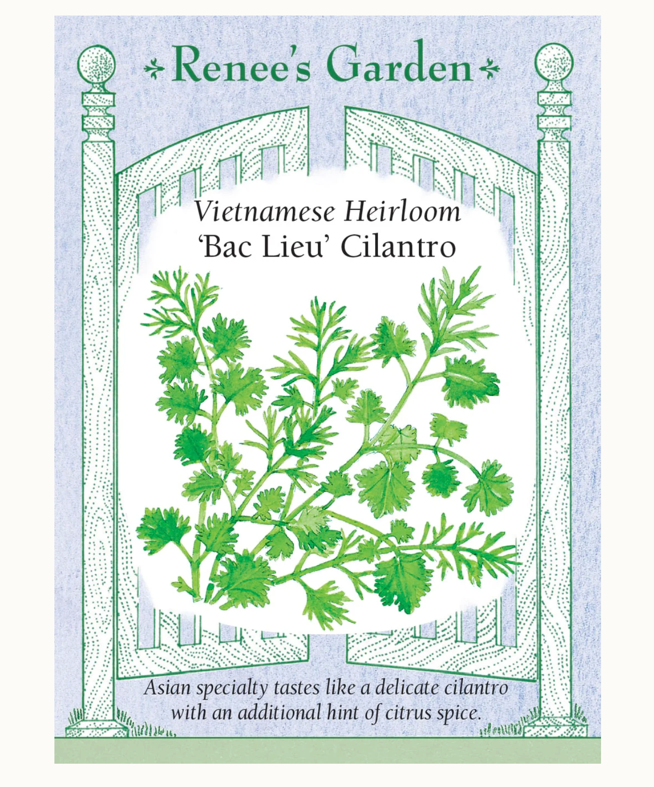 Renee's Garden | Vietnamese Heirloom 'Bag Lieu' Cilantro