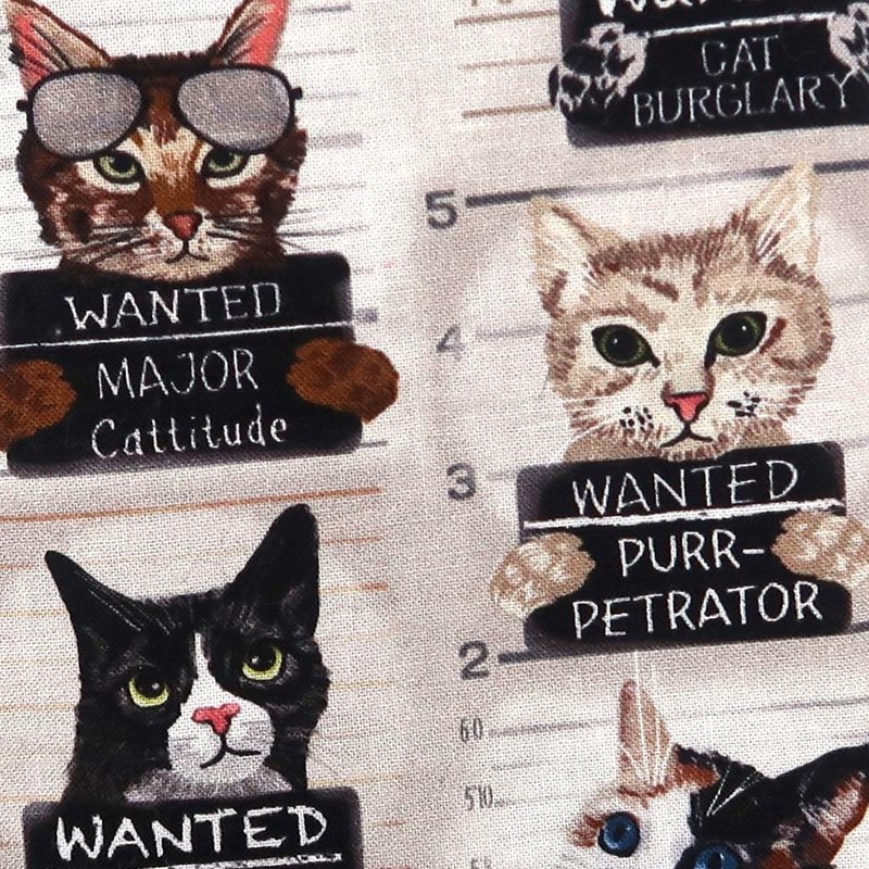 Cat Mugshots