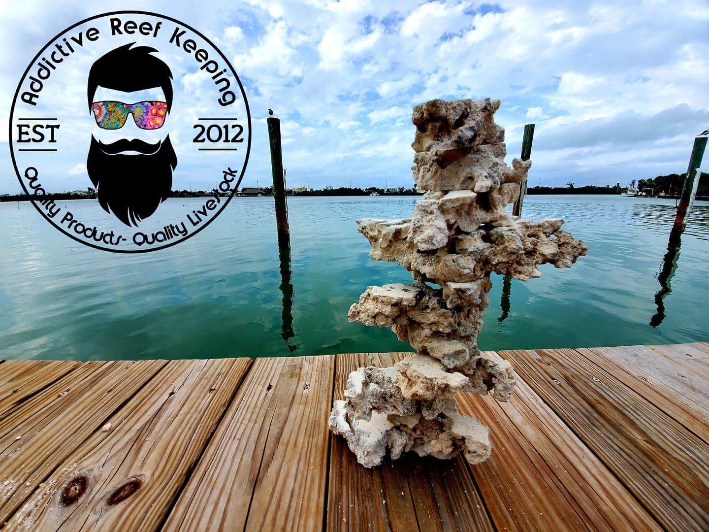 12lbs.Tower Blox Dry Shelf Rock Aragonite, Lightweight, Porous, Aquariums Live