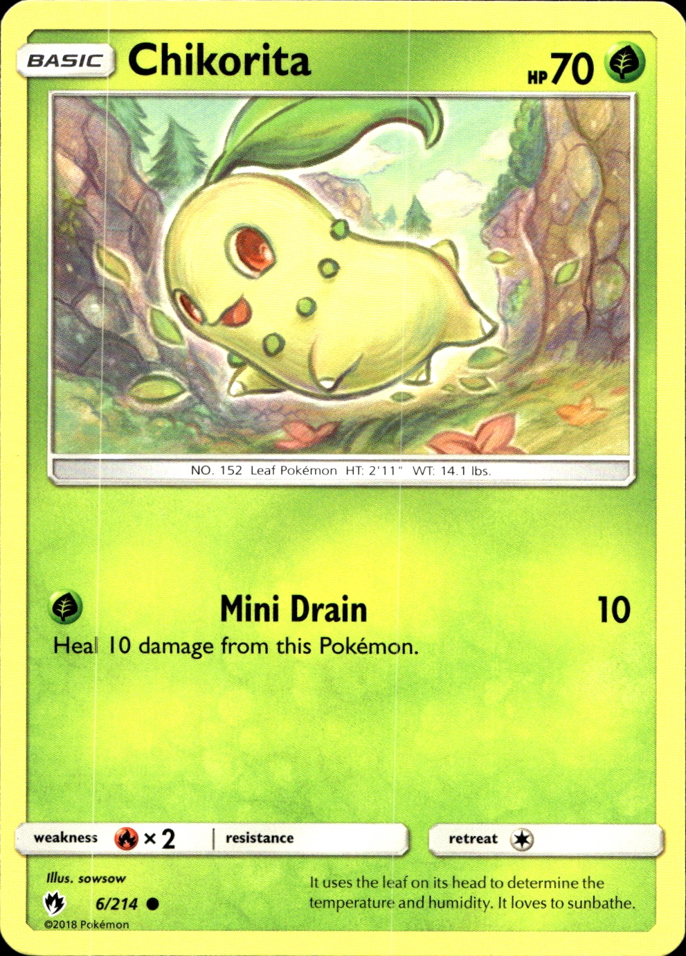 Chikorita - SM8 6