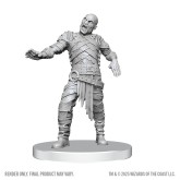 Swarm of Rot Grubs & Rot Grub Victim thumbnail 2