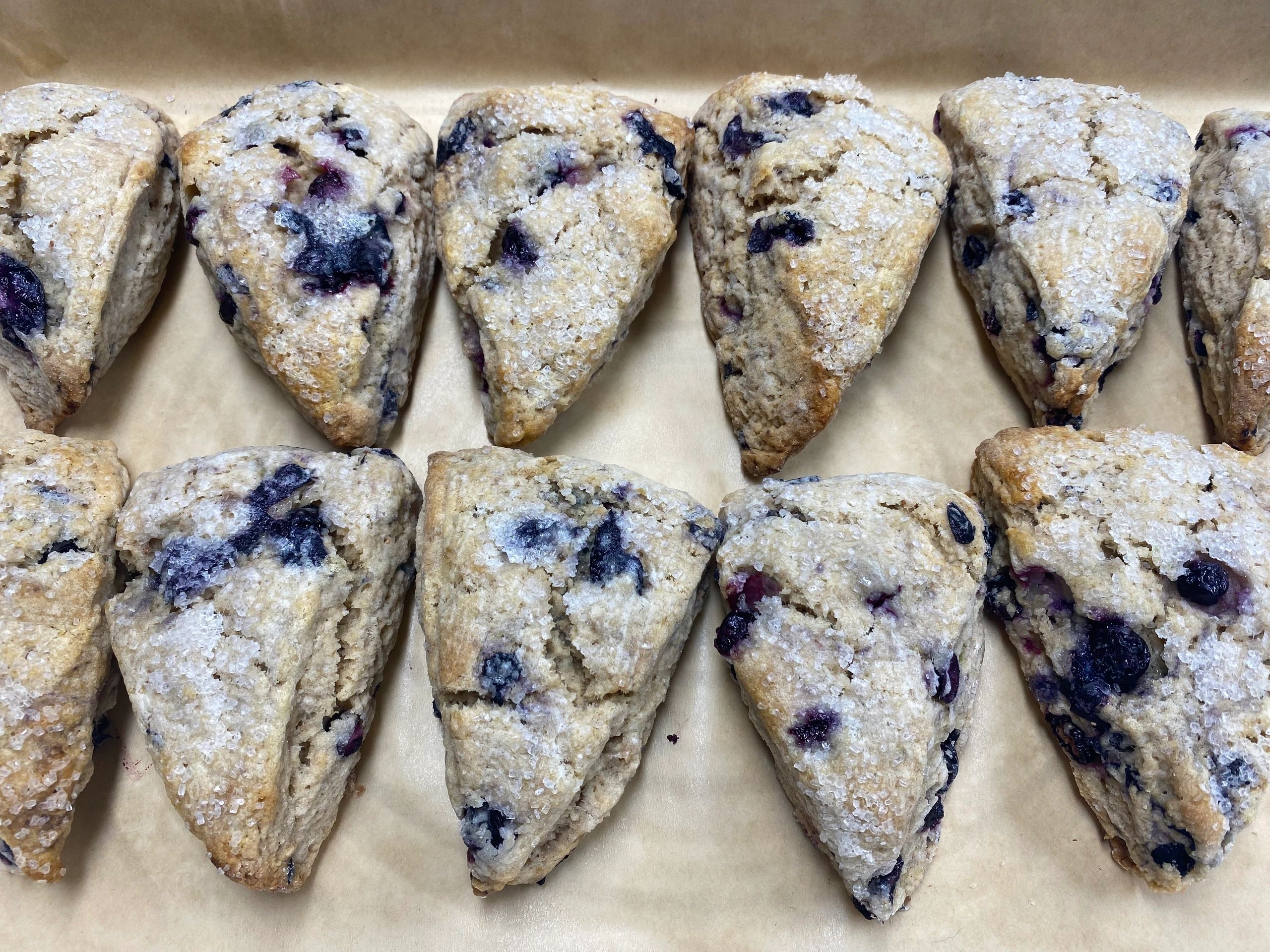 Scone Mania ( 8) 4