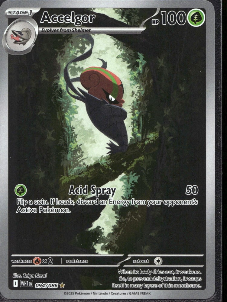 Accelgor - SV10.5W 94/86