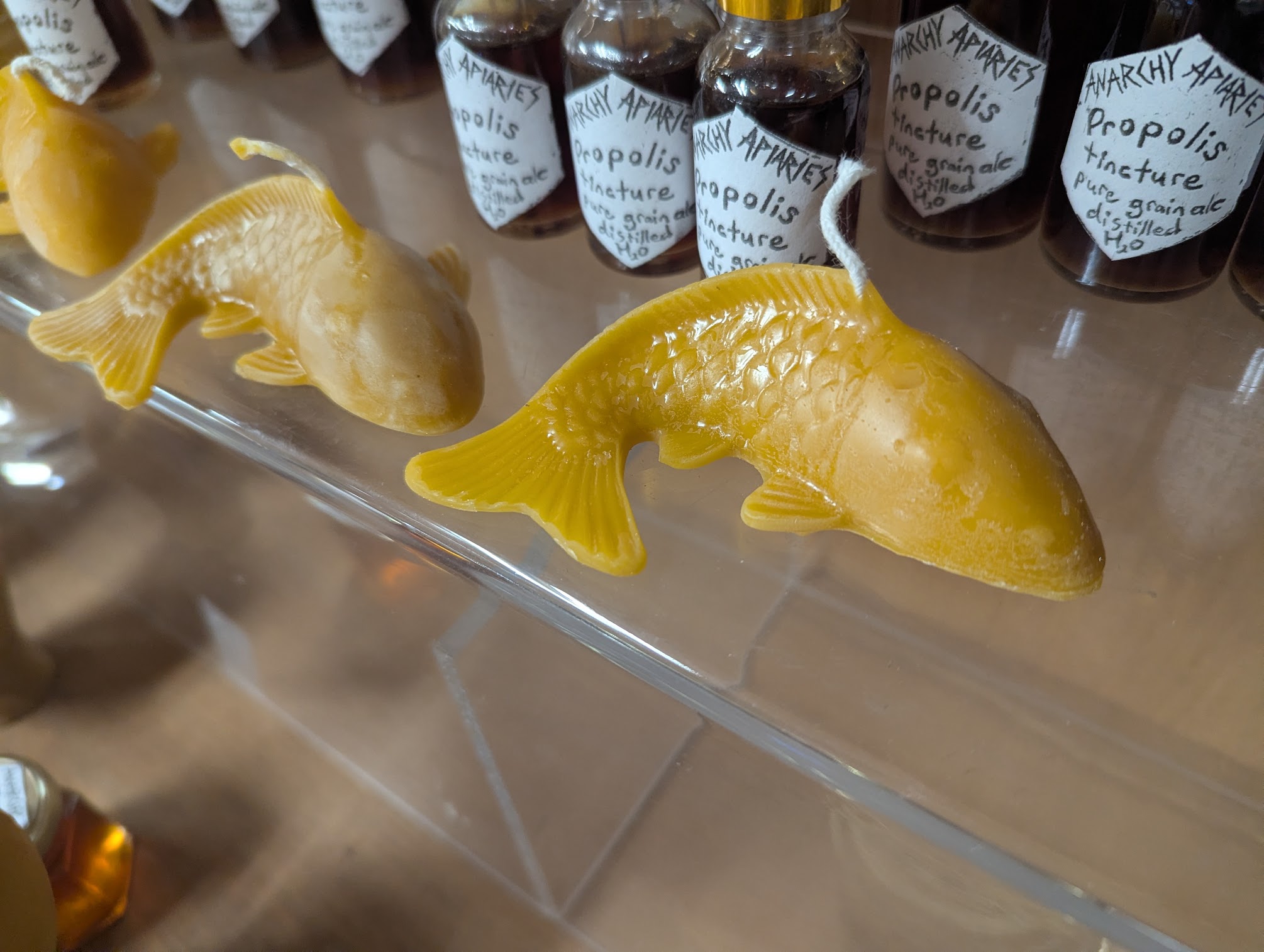 Anarchy Apiaries  |  Honey, Candles, Products - Fish Candles 3oz