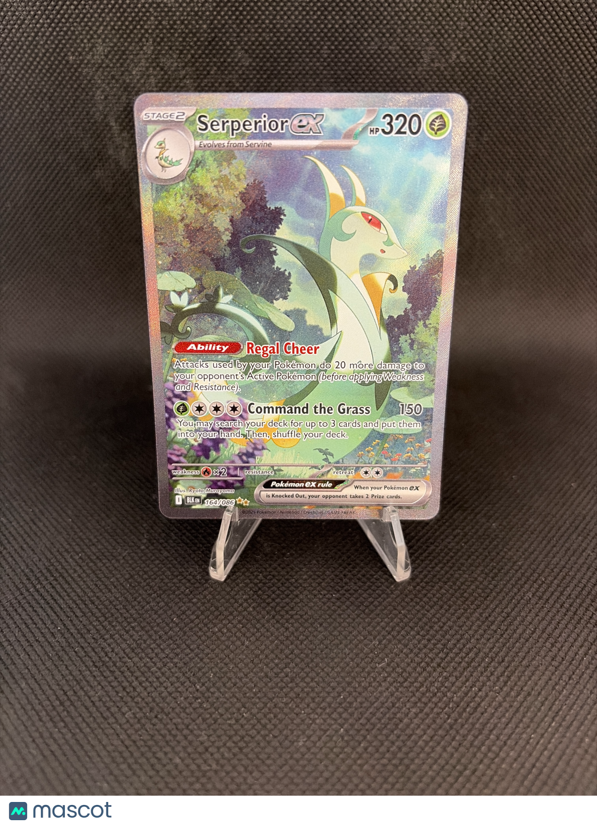 2025 Black Bolt Serperior EX 164/086