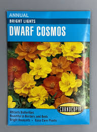 Bright Lights Dwarf Cosmos Seed Pack