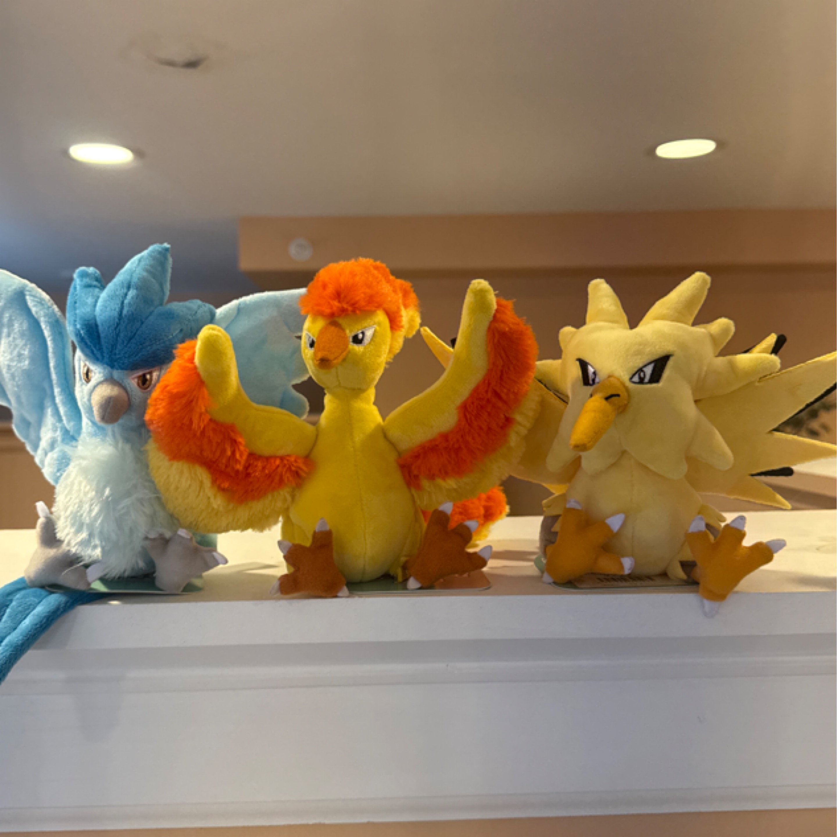 Legendary bird set - Regular