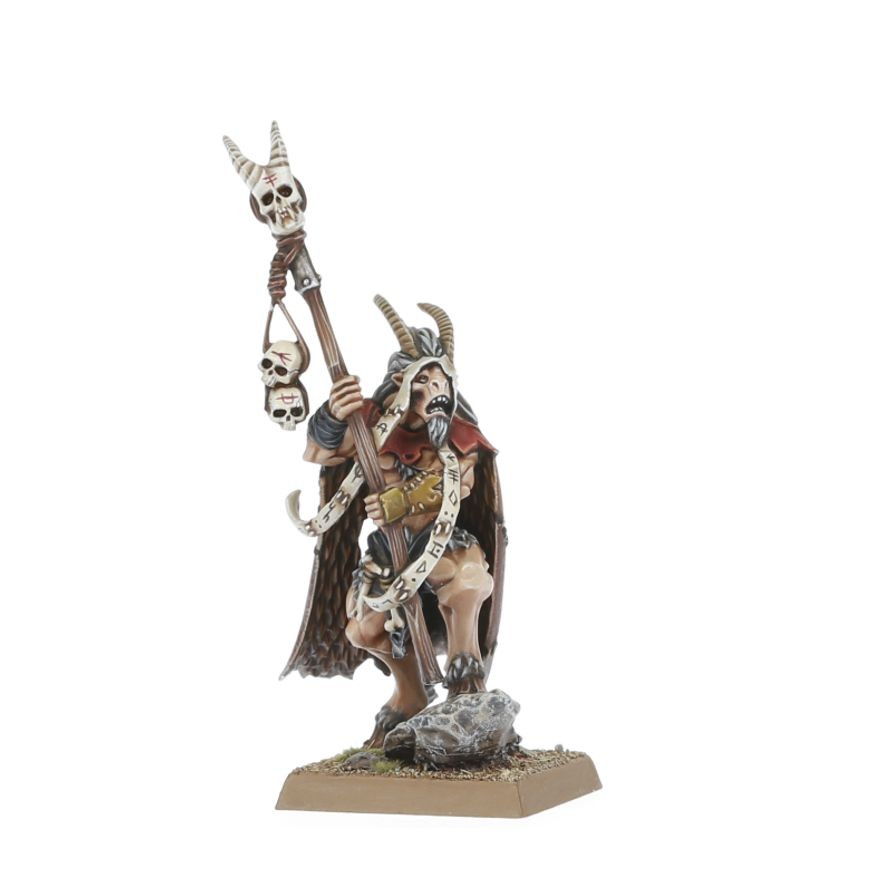 Beastmen Brayherds: Battle March Army thumbnail 9