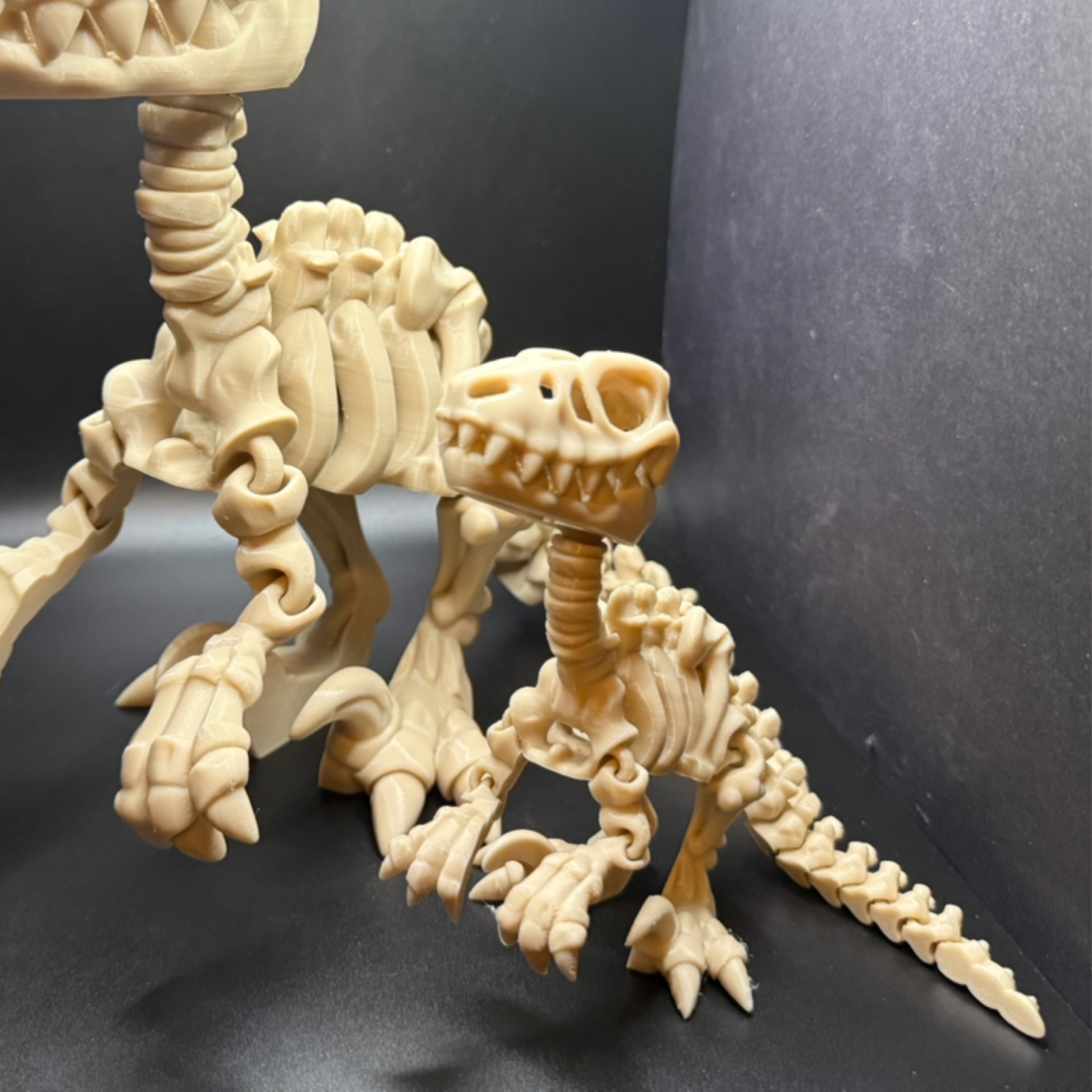 Skeleton Raptor