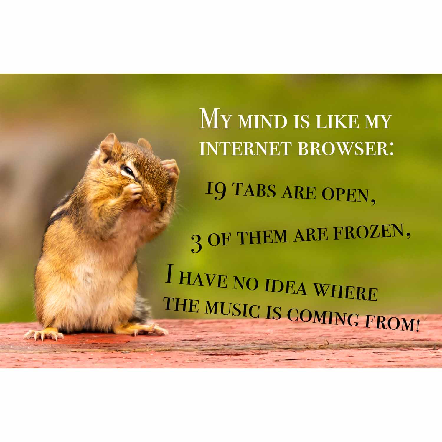 Internet Browser