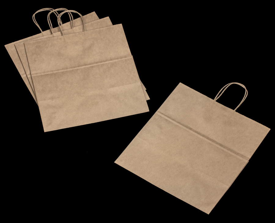 3250 - Take Out Kraft Shopping Bag with Handle