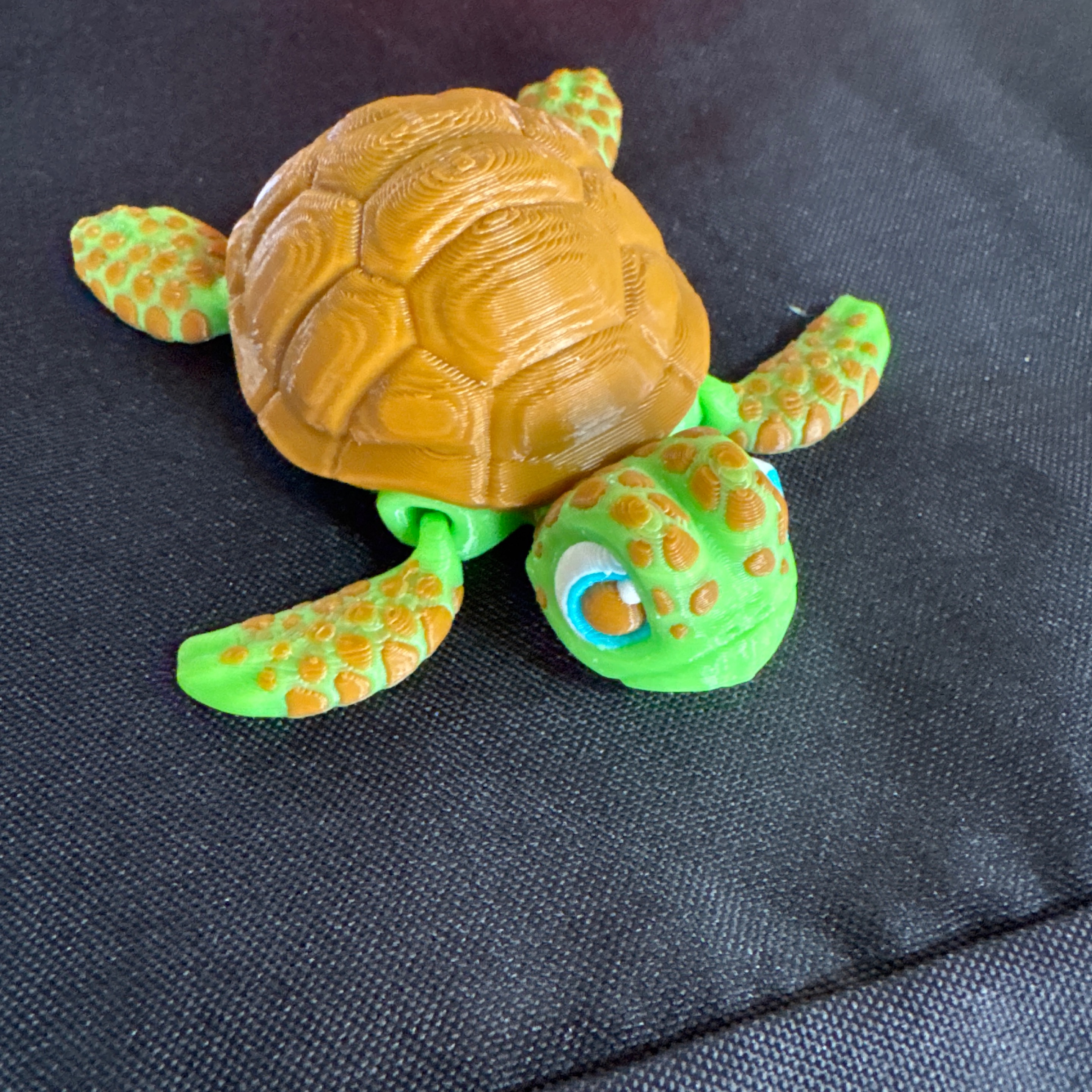 Turtle