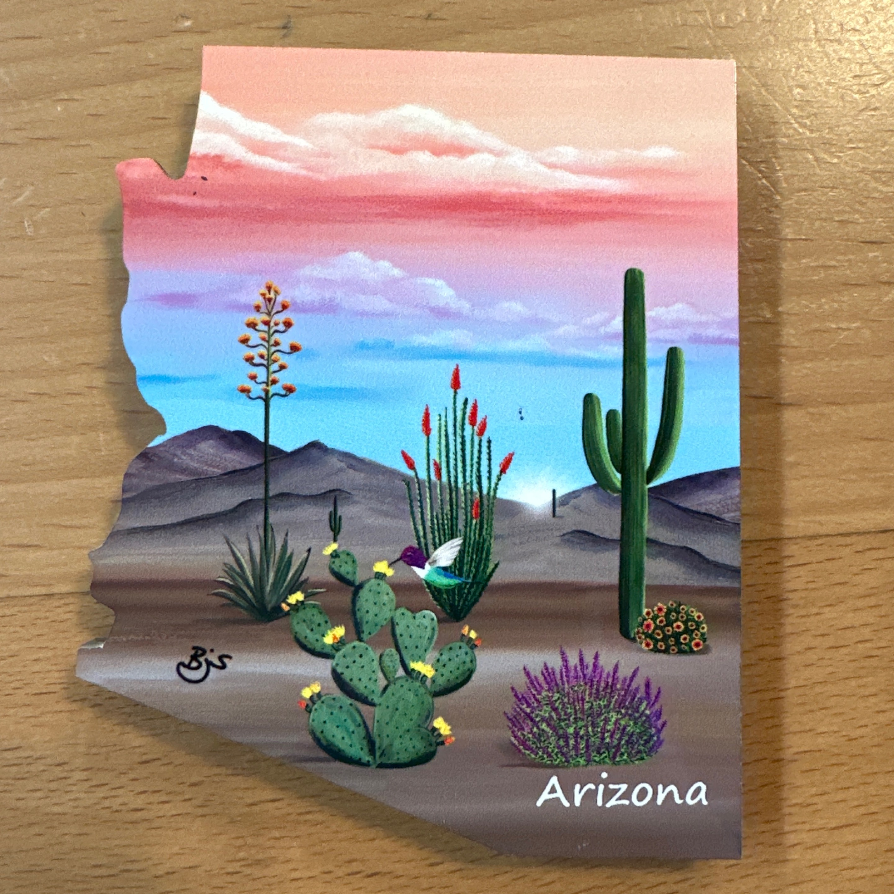 Arizona Blooming Desert