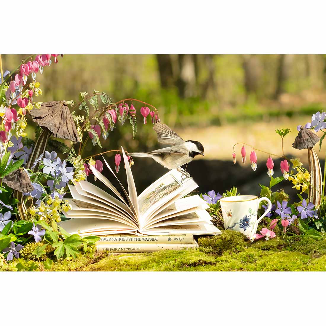 A Fairy Story Takes Flight