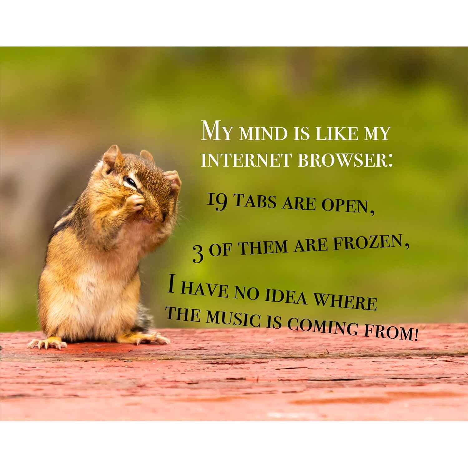 Internet Browser