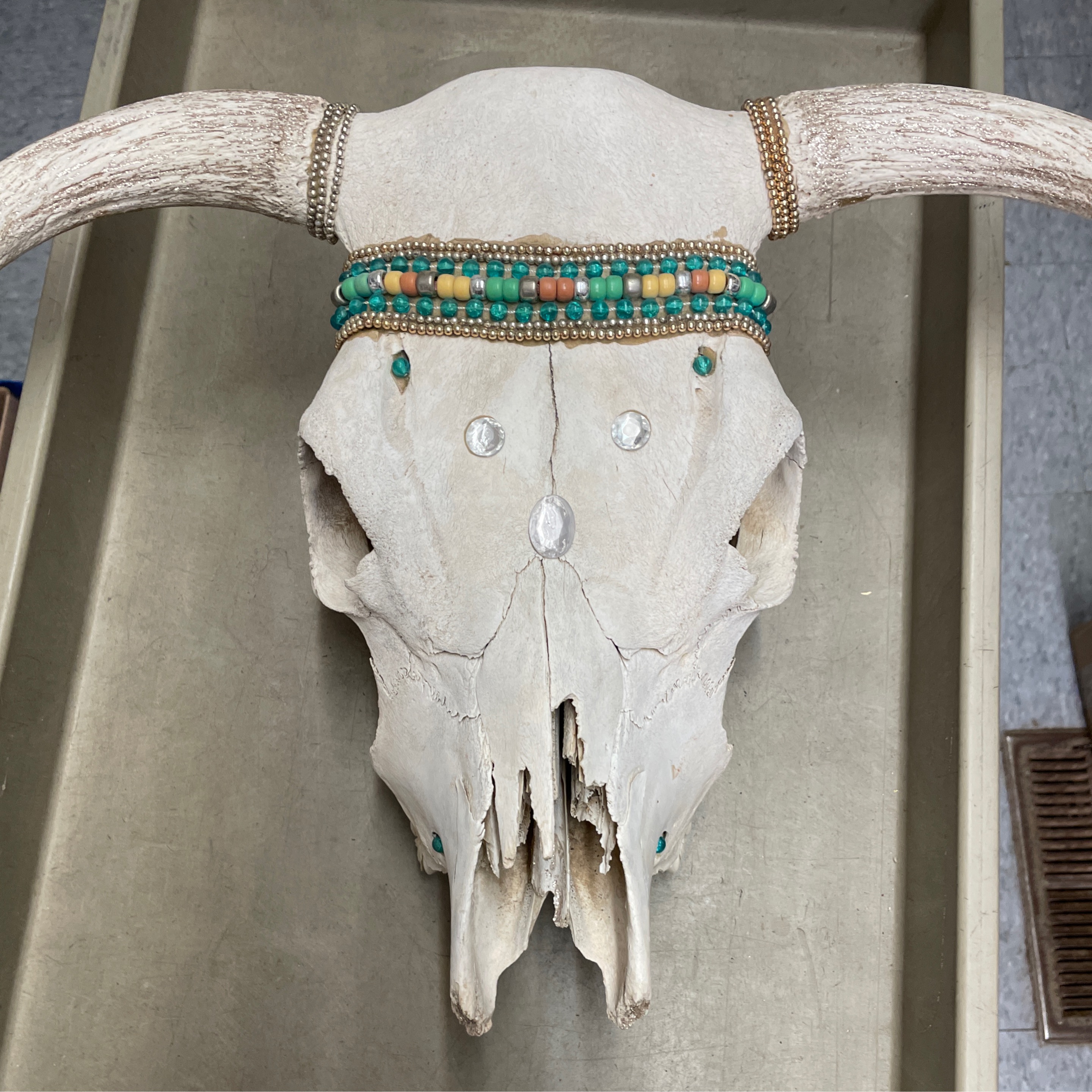 Bedazzled Steer Head