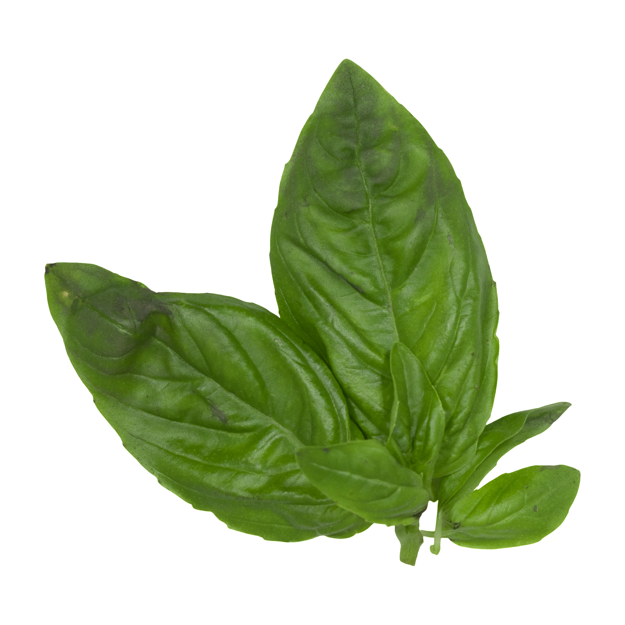 category image