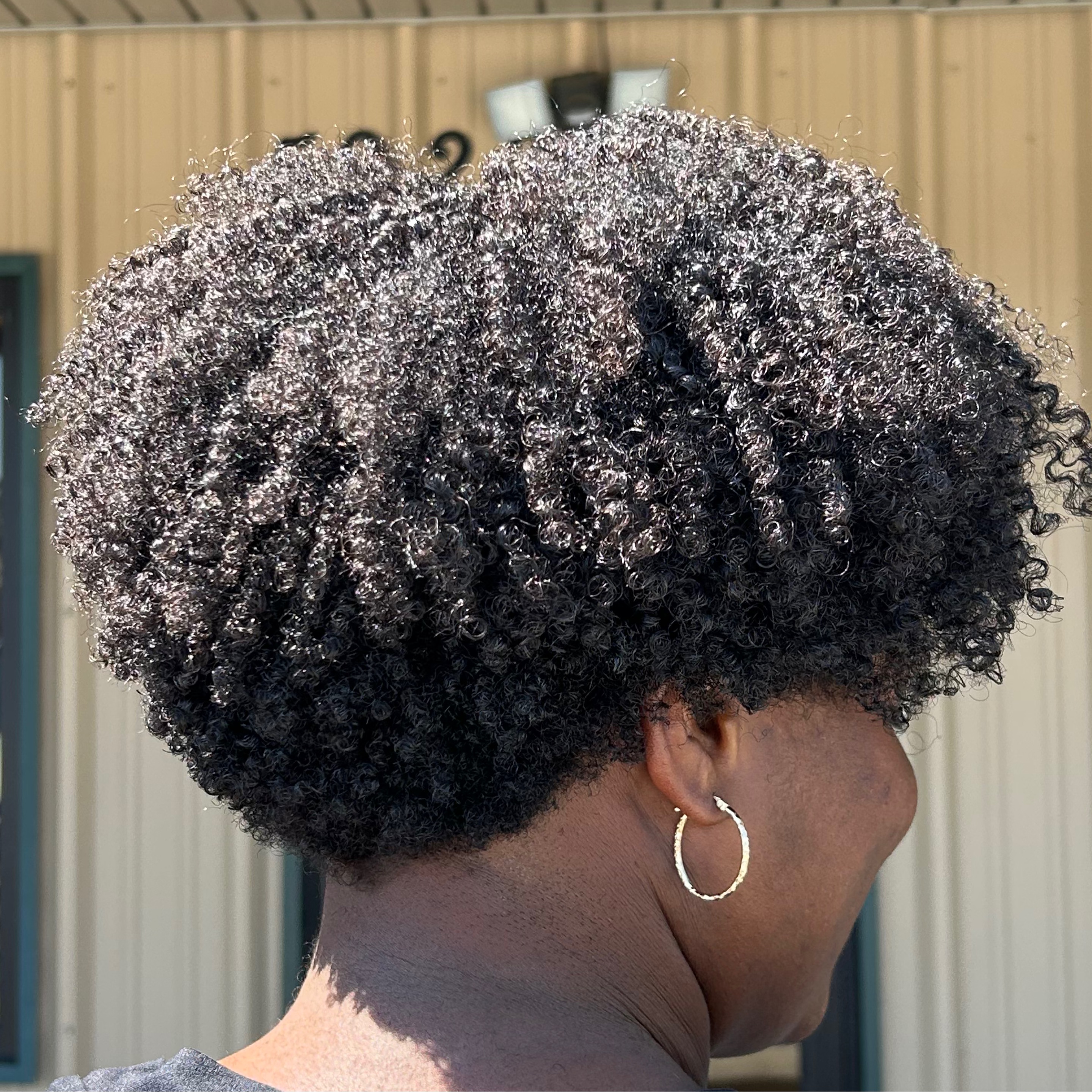 Hair Color & Shears inc Salon