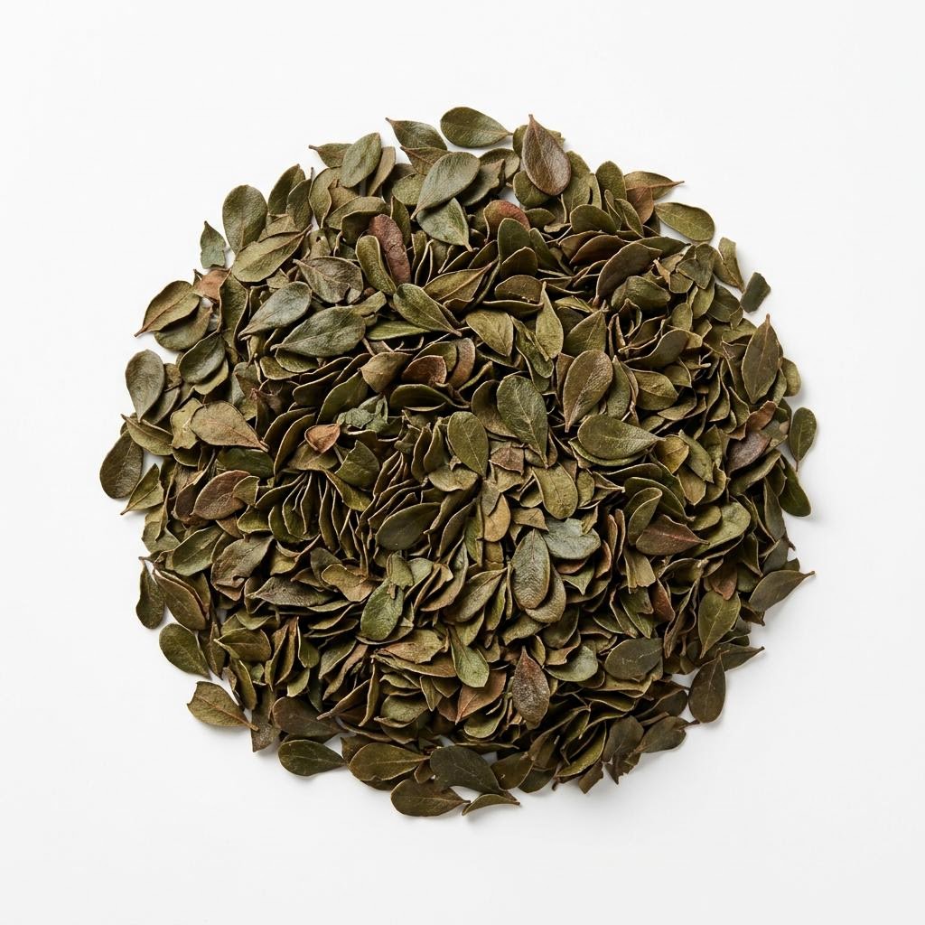 Uva Ursi