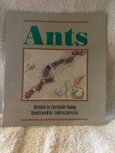 Ants- Wonder World/Christine Young