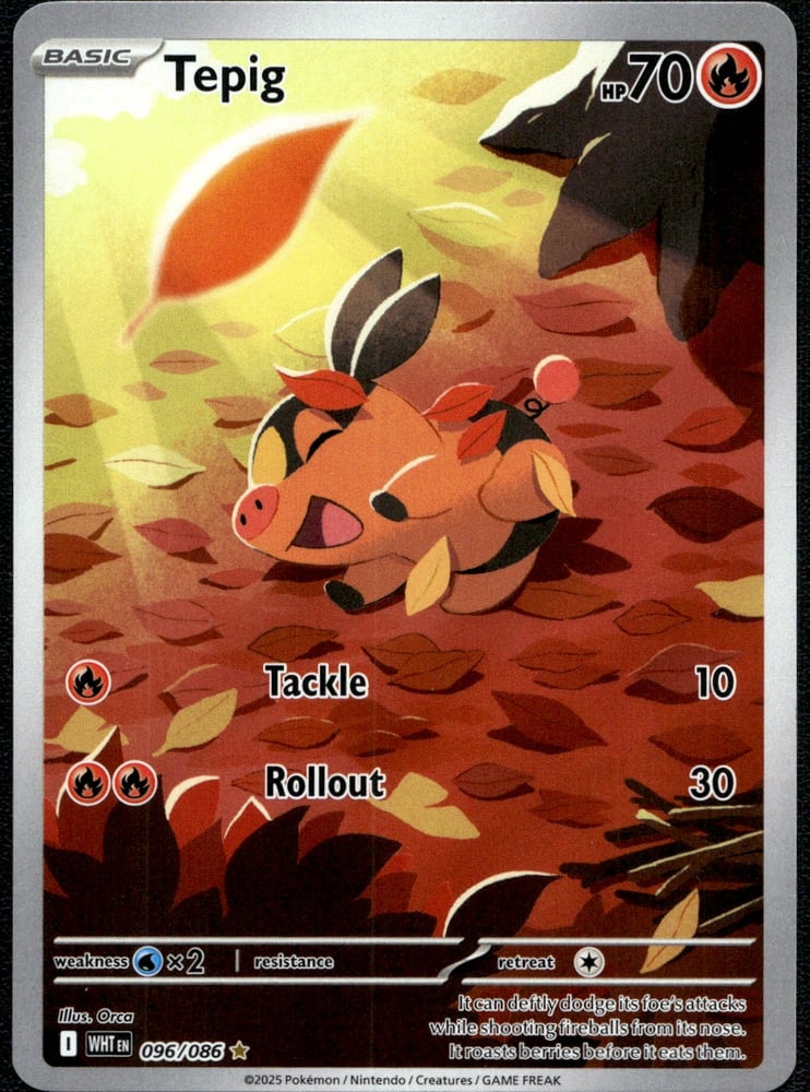 Tepig - SV10.5W 96/86