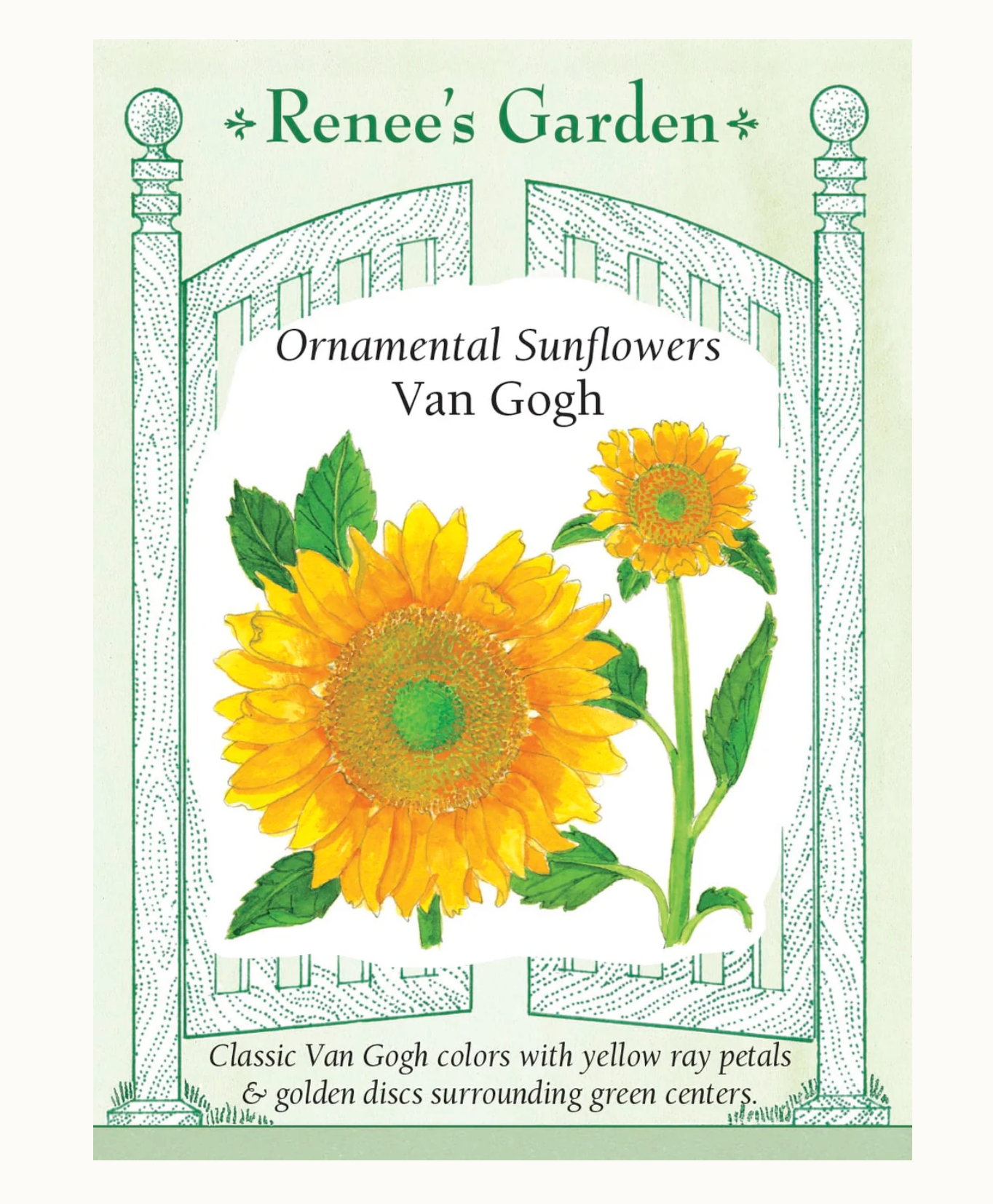 Renee's Garden | Ornamental Sunflowers Van Gogh