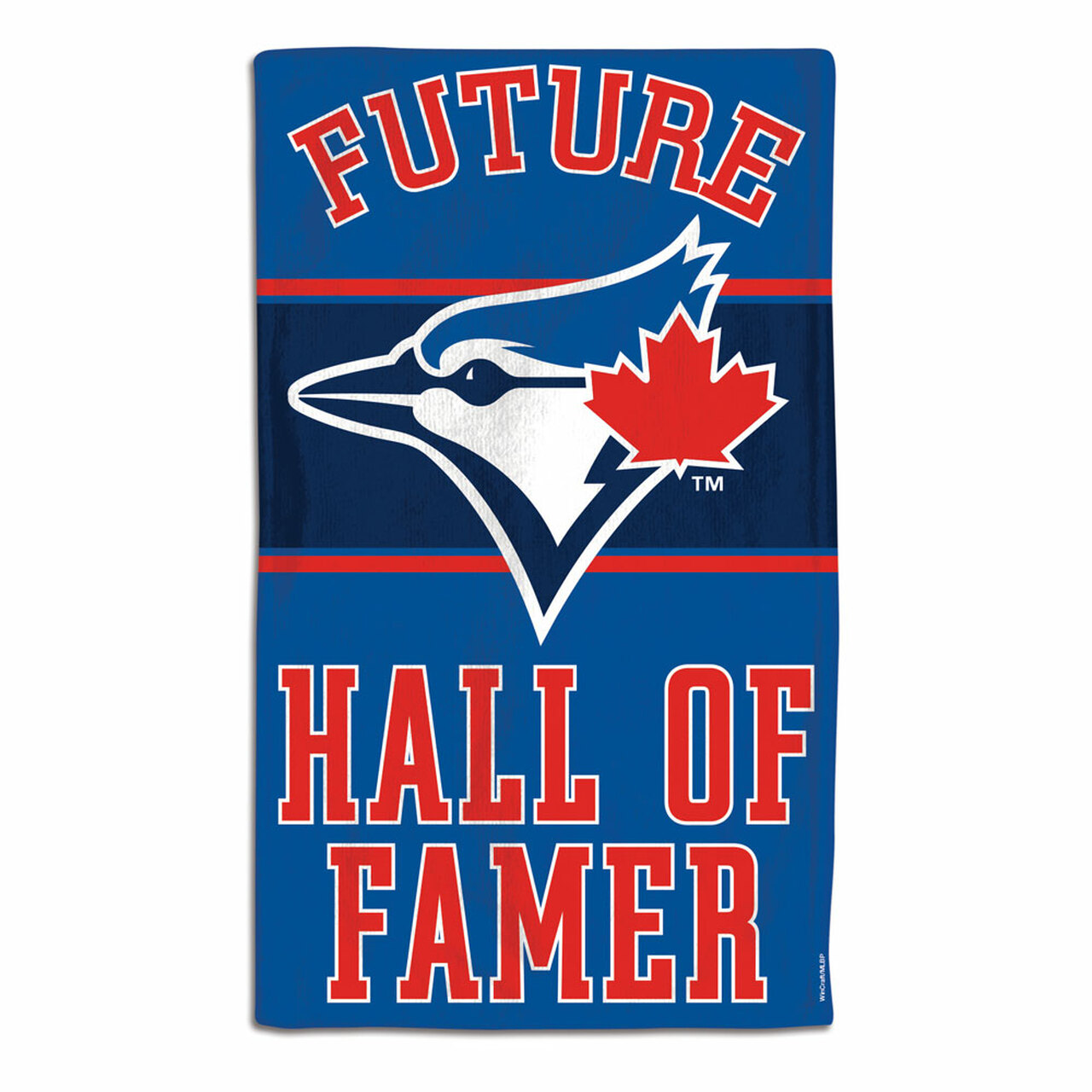 Toronto Blue Jays Baby Burp Cloth 10x17"