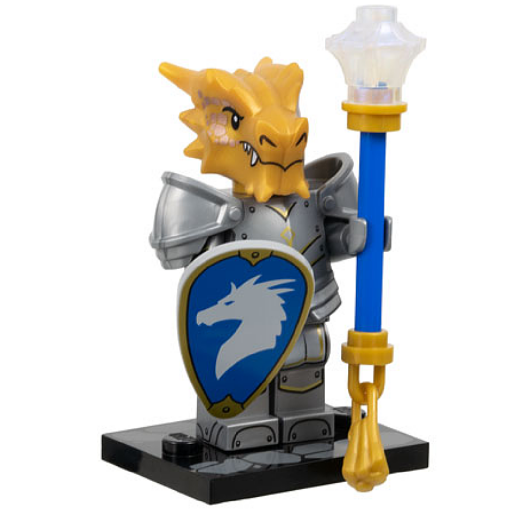 coldnd-4 Dragonborn Paladin, Dungeons & Dragons (Complete Set with Stand and Accessories)
