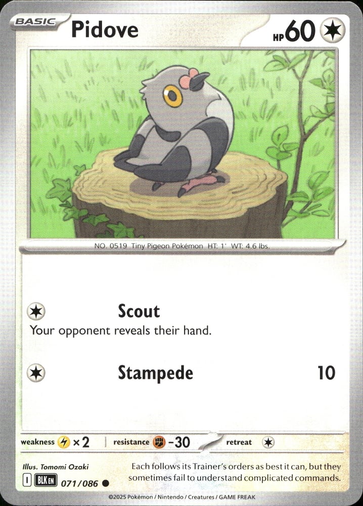 Pidove - SV10.5B 71/86