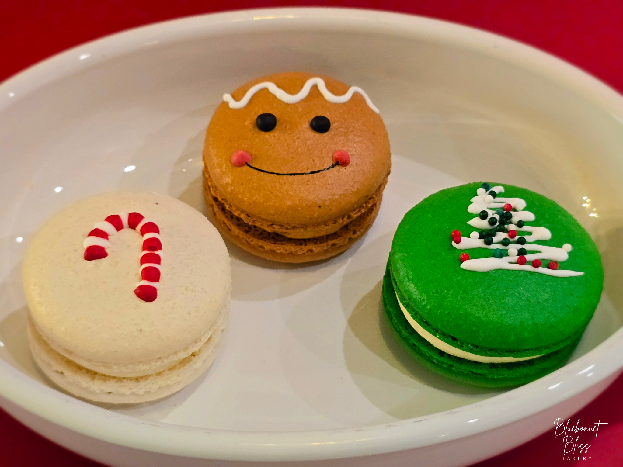 Holiday Macaron Gift Sets