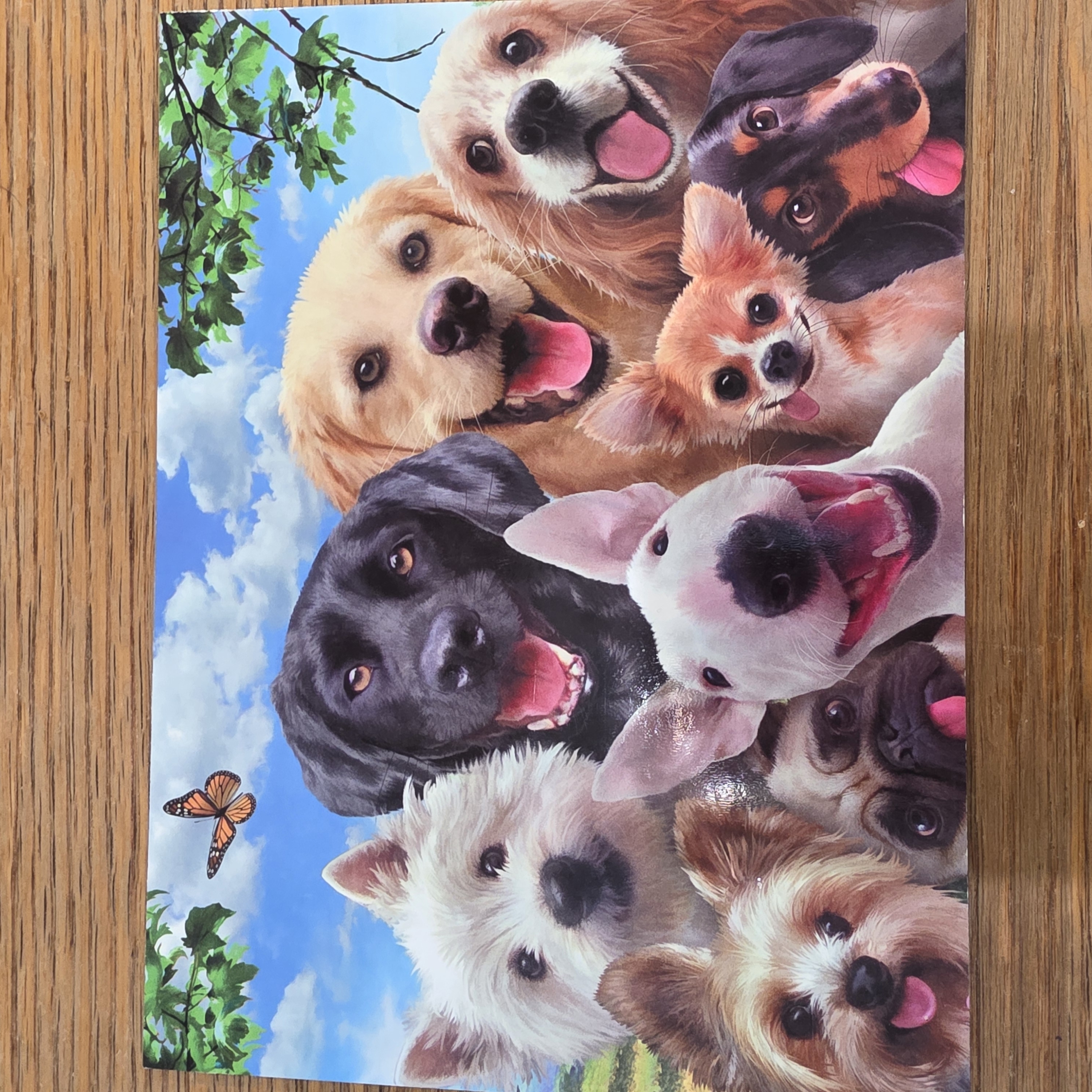 Just wanted to send some smiles your way