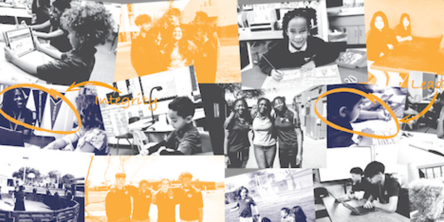 Elevate the Nest: Building School Spirit Together!