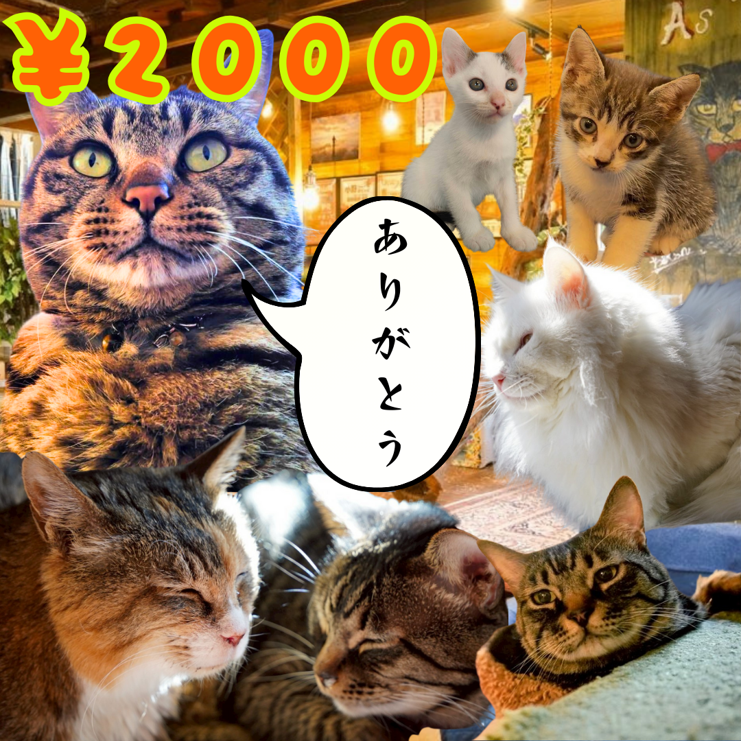 パトロン2000円