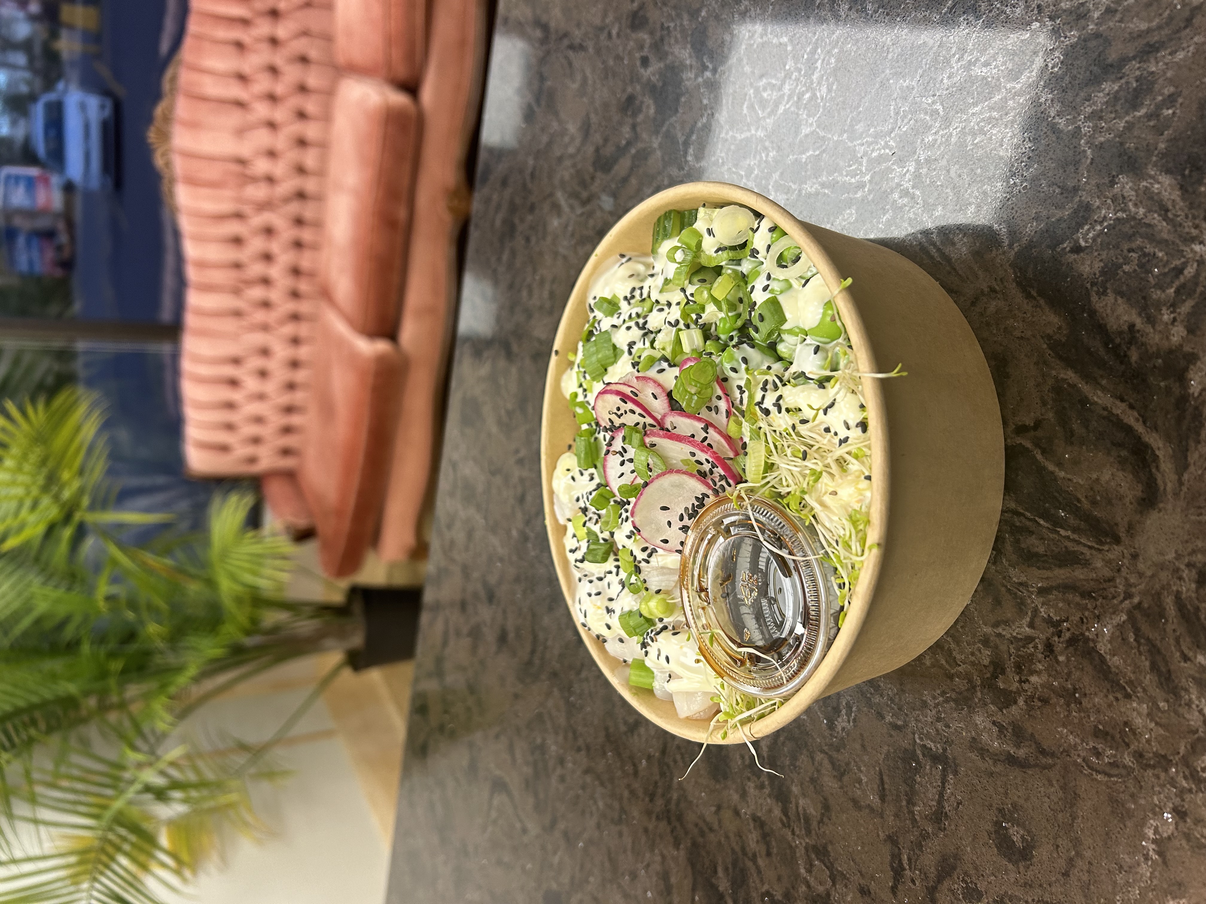 Émile -Poké -Pétoncle