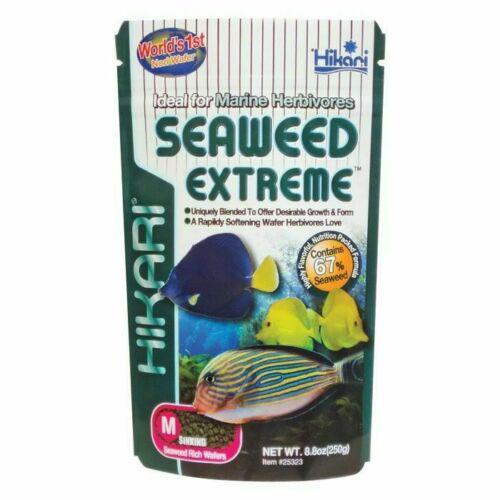 Seaweed Extreme 8.8oz