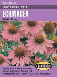 Purple Coneflower Echinacea Seed Pack