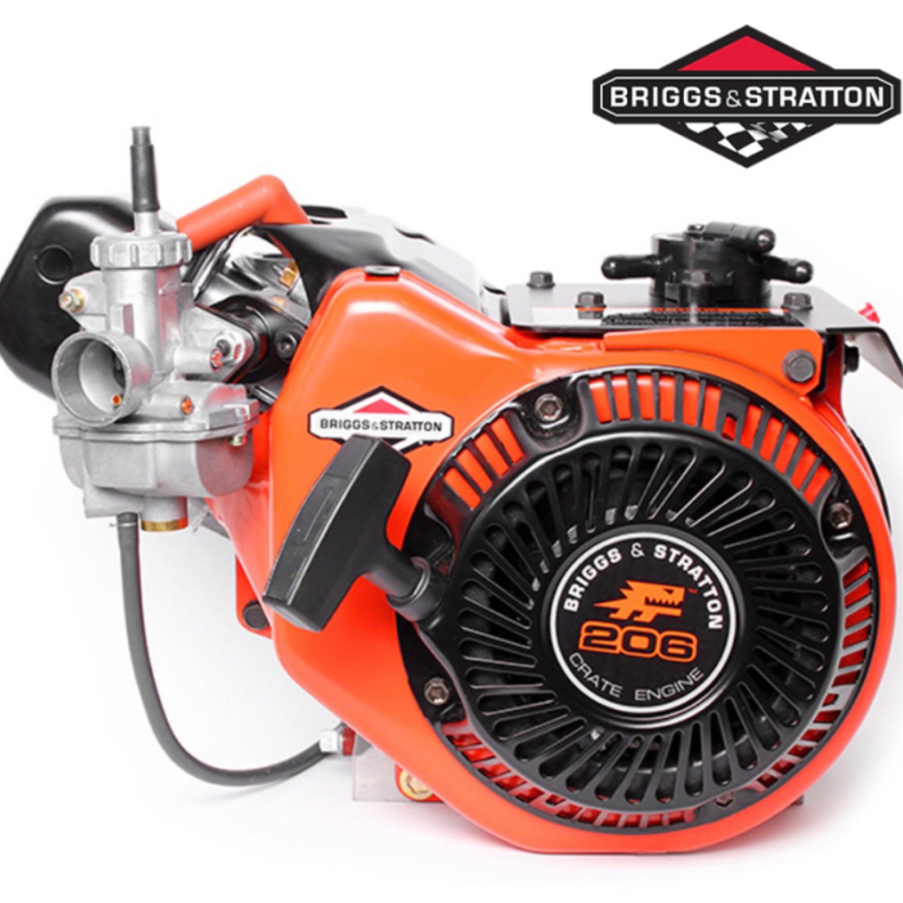 Briggs & Stratton 206 Engine