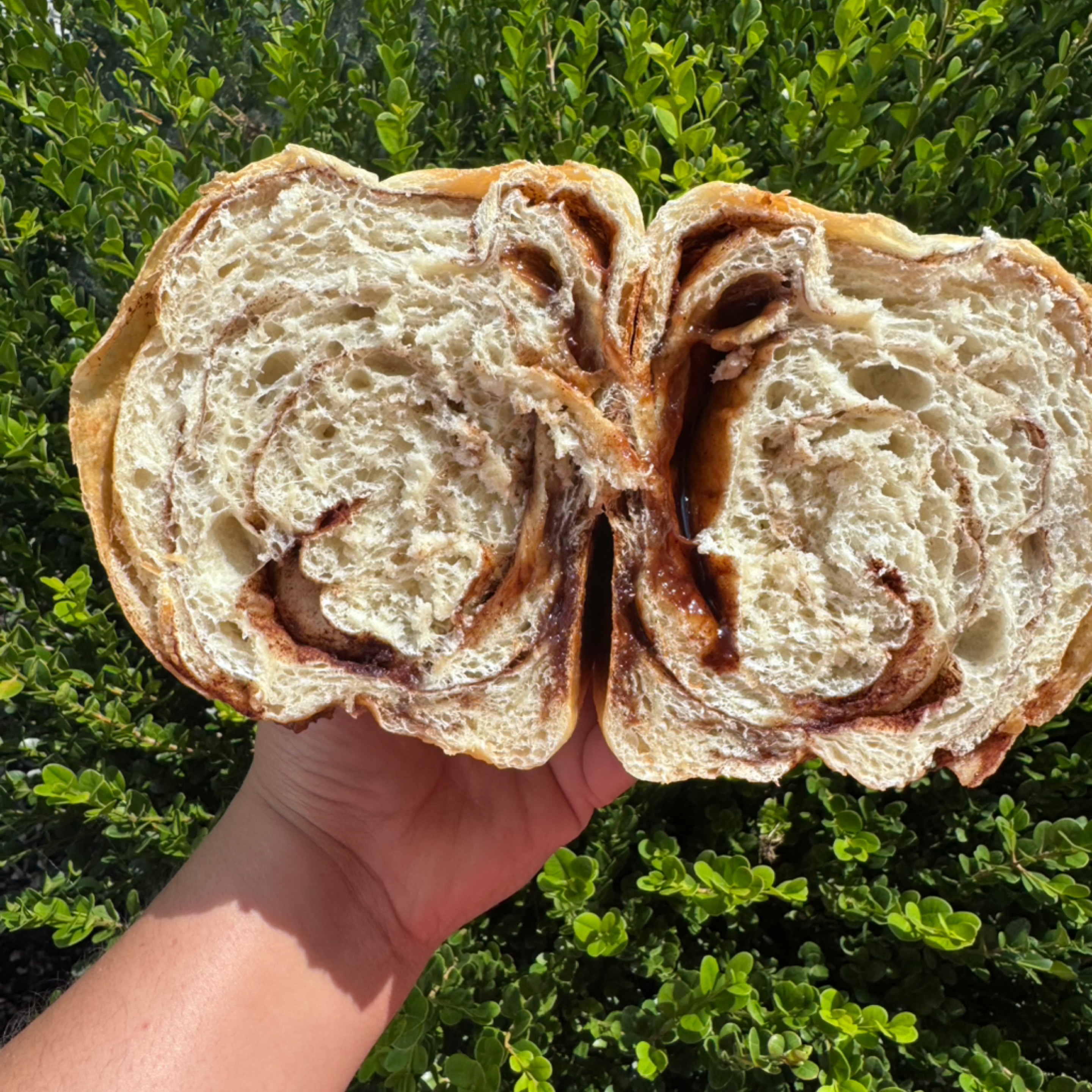 Photo of Sandwich bread