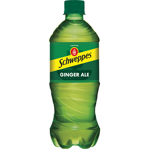 GINGER ALE 20oz