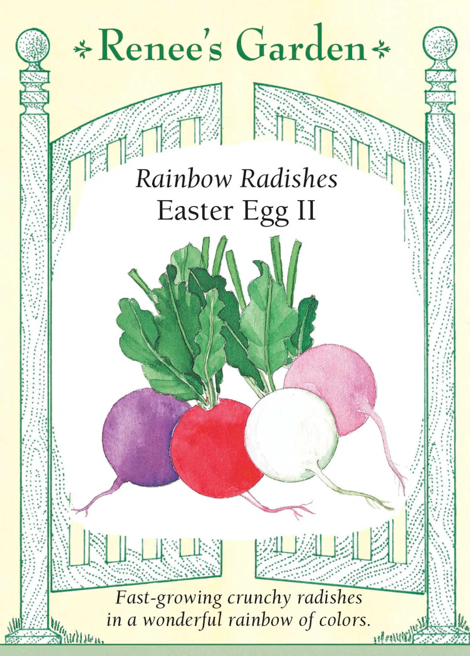 Renee's Garden | Rainbow Radishes Easter Egg II