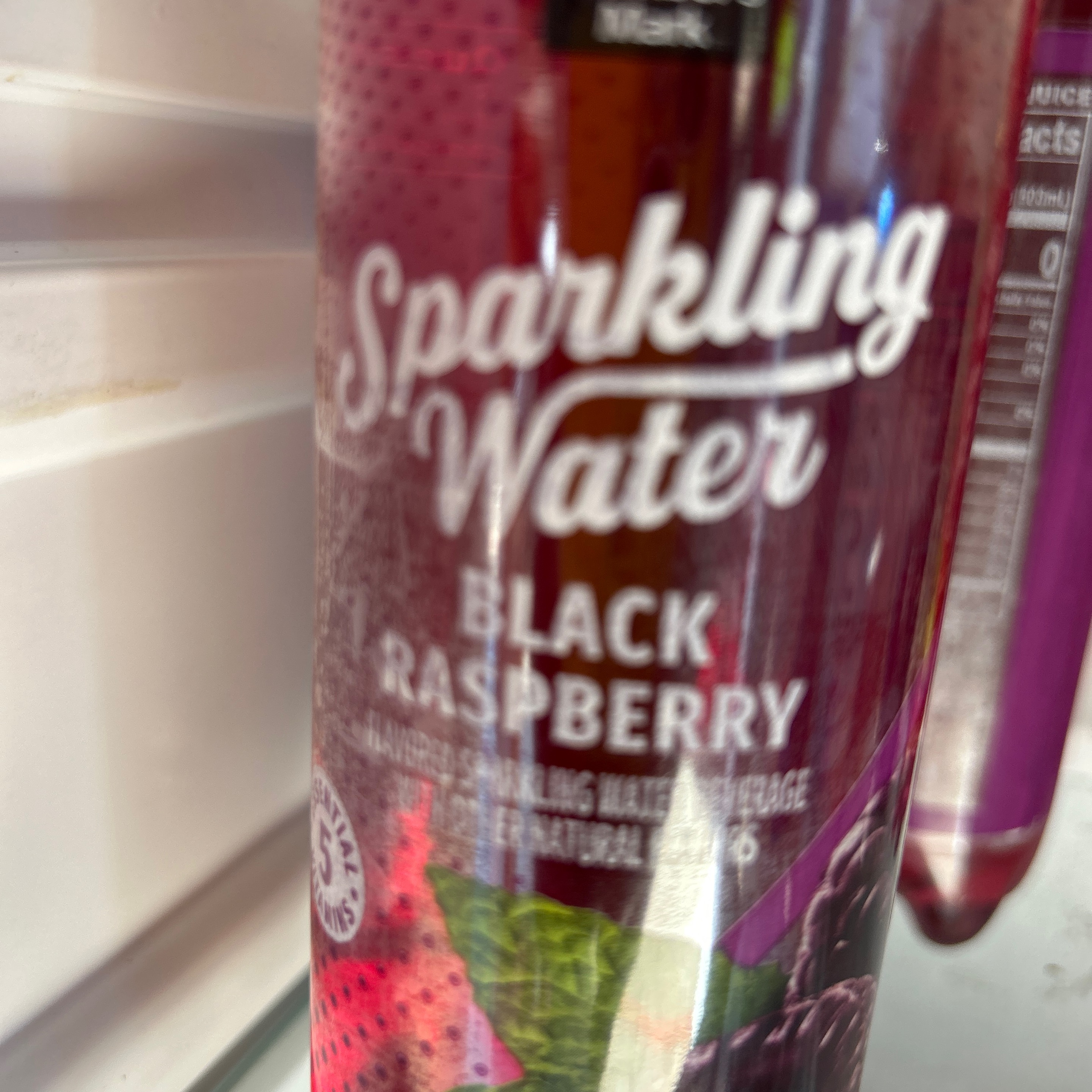 Sparkling Water Black Raspberry