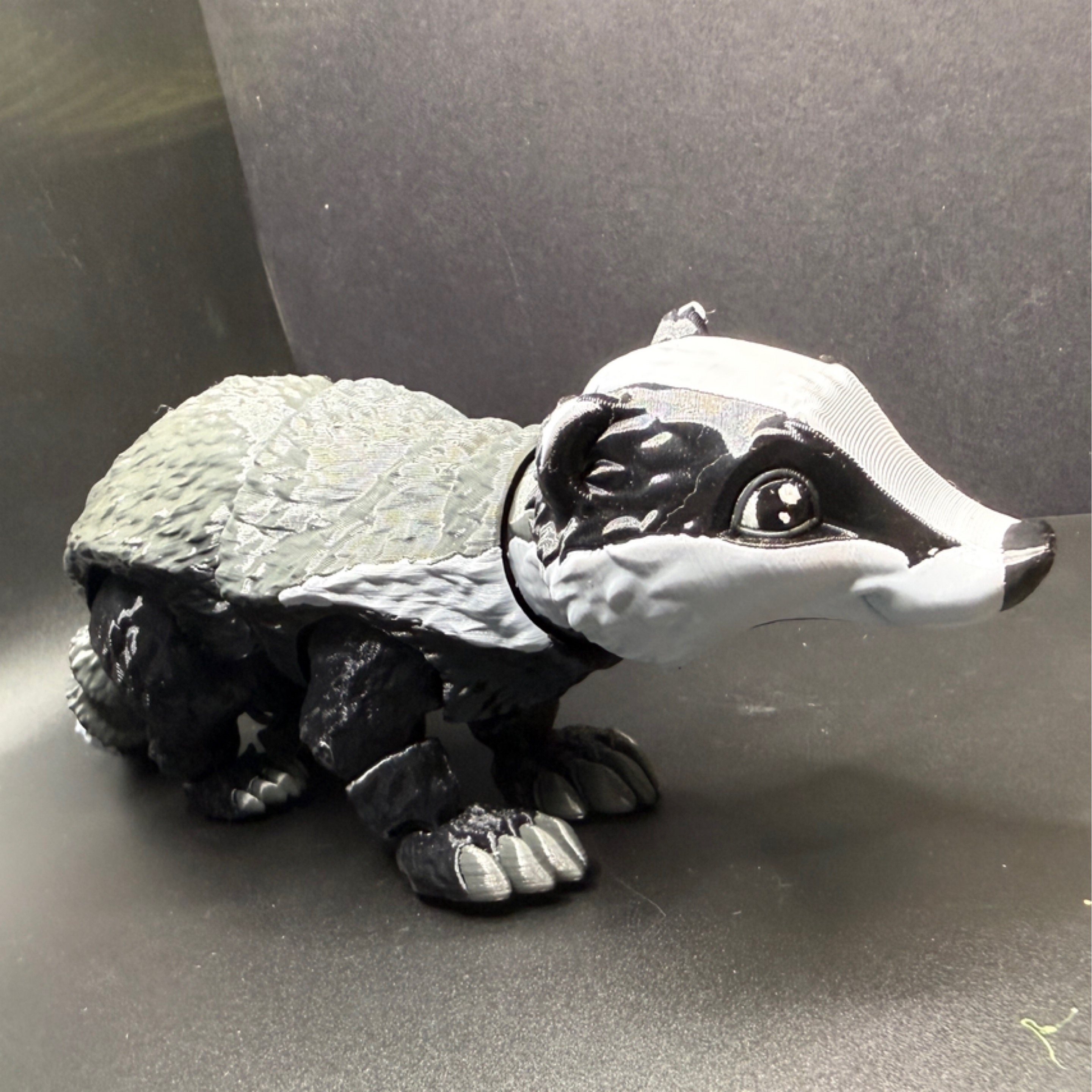 Badger-big